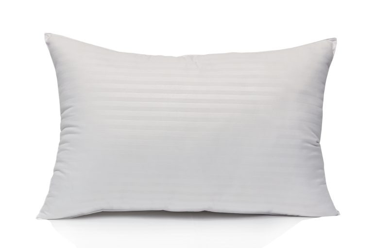 CloudEase LuxeSoft Premium Rectangle Pillow