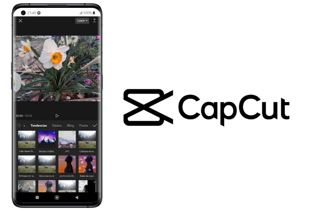 Capcut Pro Activation
