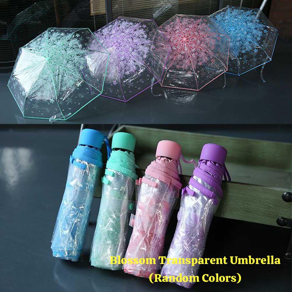 Blossom Transparent Umbrella (Random colors)