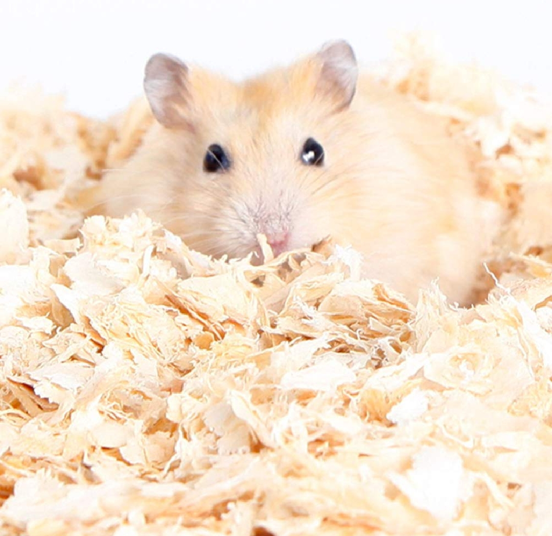 Hamster Pet Sawdust 500g for Pets Squirrel Chinchilla Hamster Rat Guinea Pigs Grinding Chew Small Cage Bedding Wood Sawd