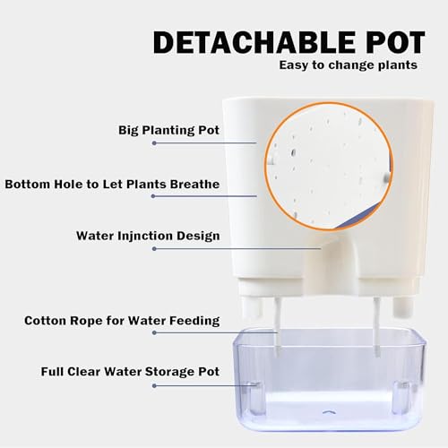 Casa De Amor Self Watering Pots (Pack of 4) for Indoor Plants | Home Decor, Living Room, Kitchen, Bedroom, Table Top, Of
