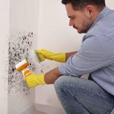 Wall Repairing Roller Paint Brush